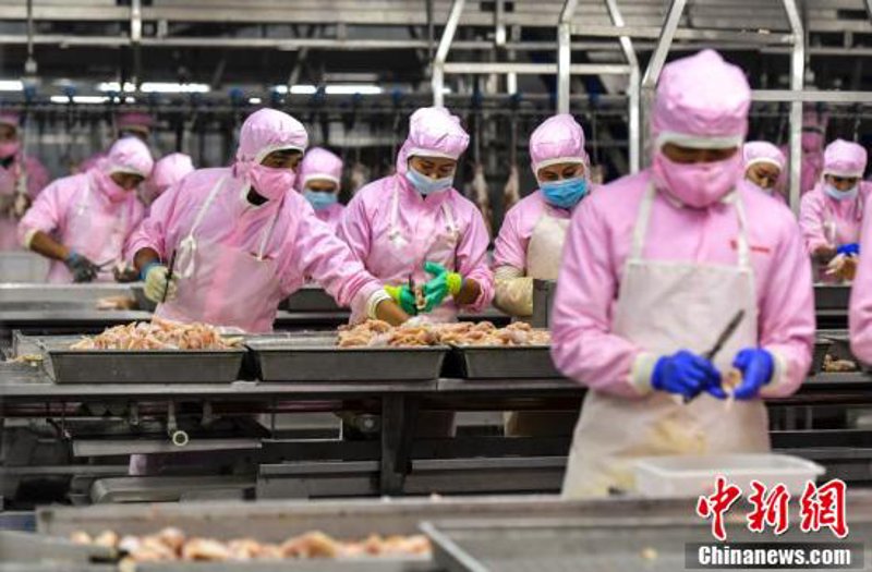 聊城金属材料:行业前沿与应用动态