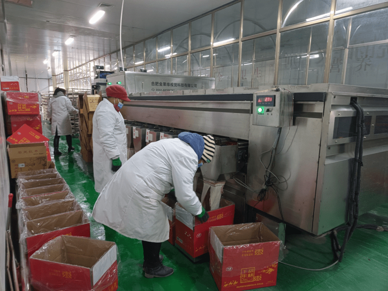 钢管：钢铁之花在工程中的绽放